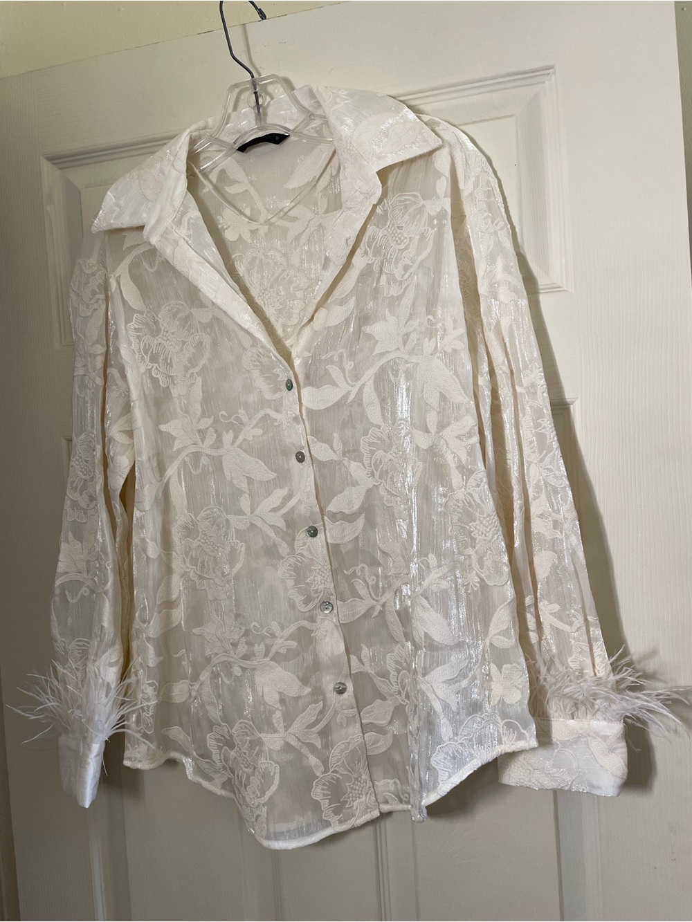 Zara Sheer Lace-Effect Ivory Button-Up Shirt with Feather Cuffs